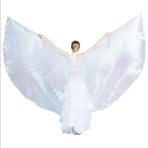 Iridescent Fairy Wings